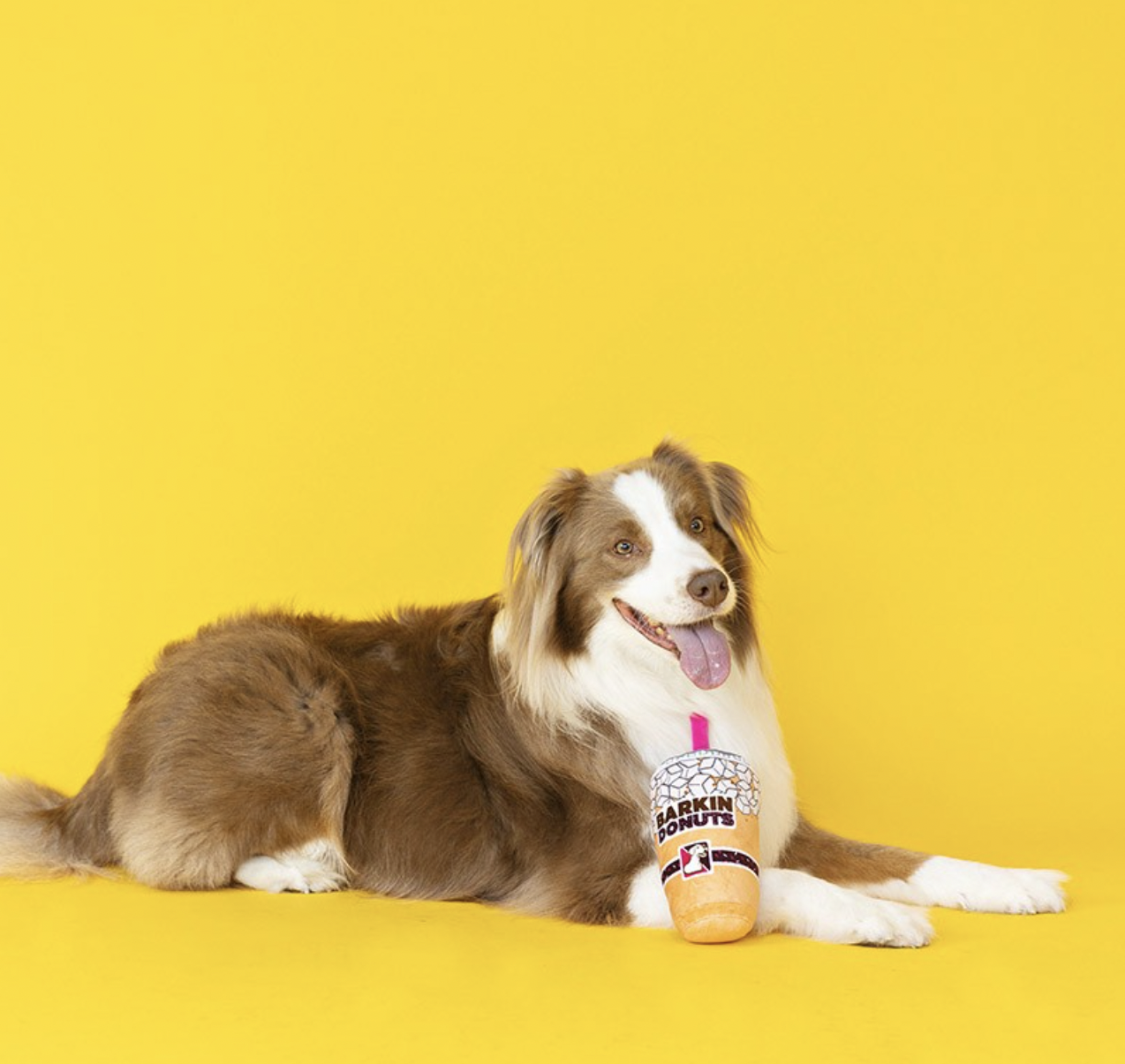 Barkin Donuts Iced Coffee