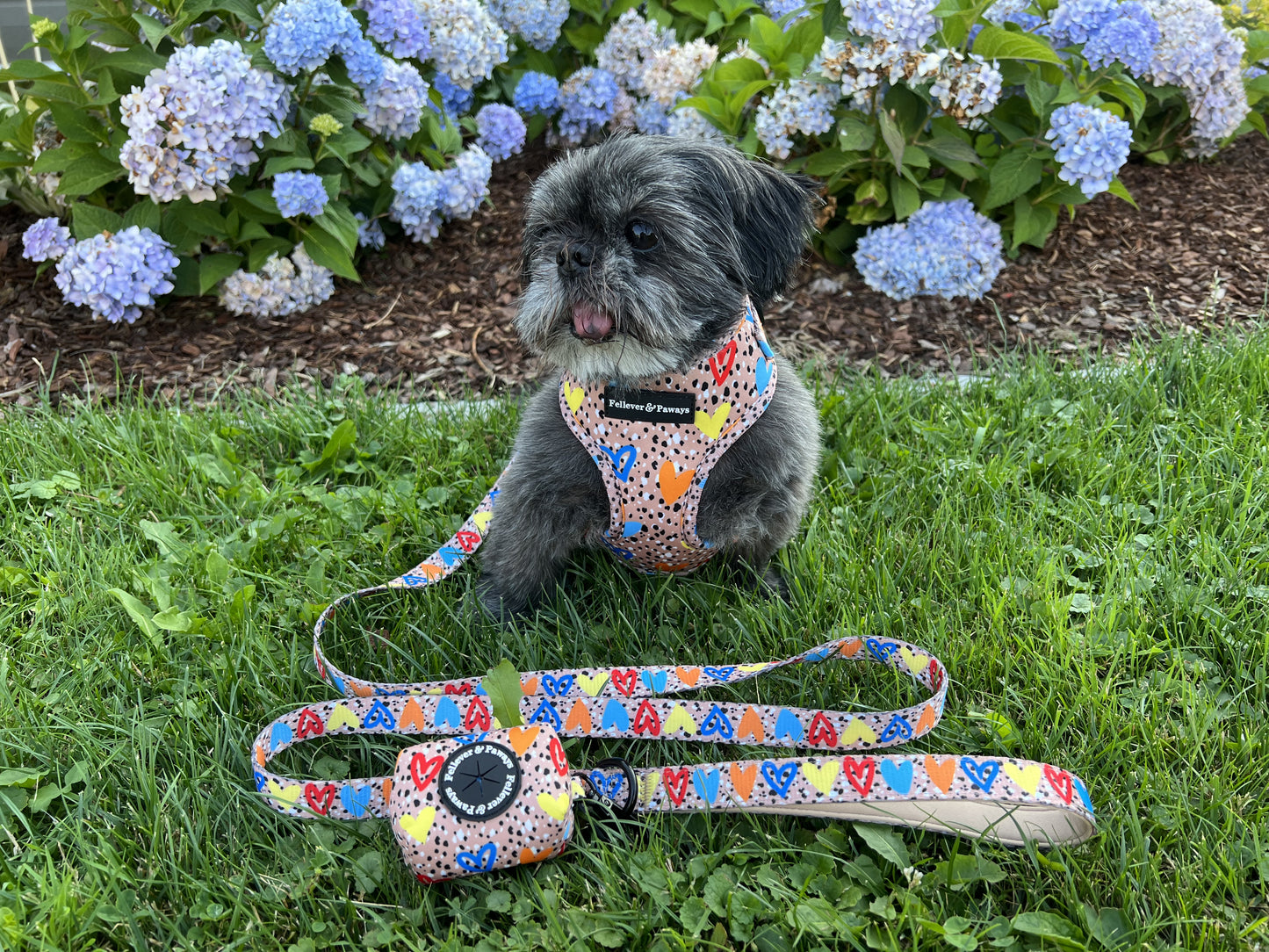 Hundegeschirr "Wild at heart"