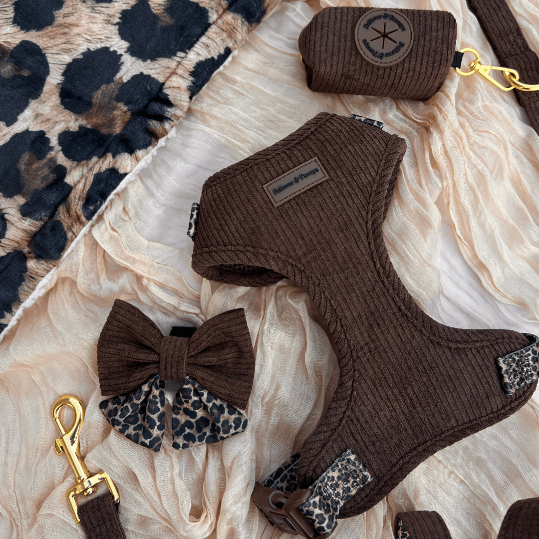 Chocolate Leo