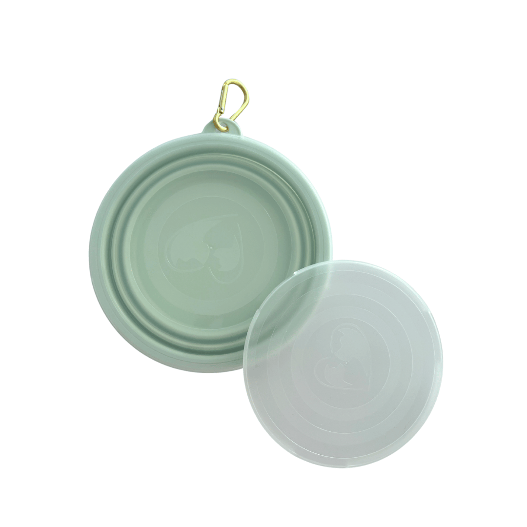 Foldable dog bowl with lid MINT