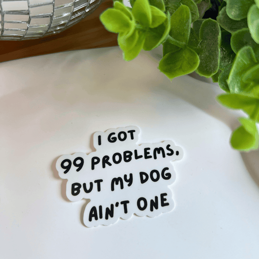 Sticker "99 problems"