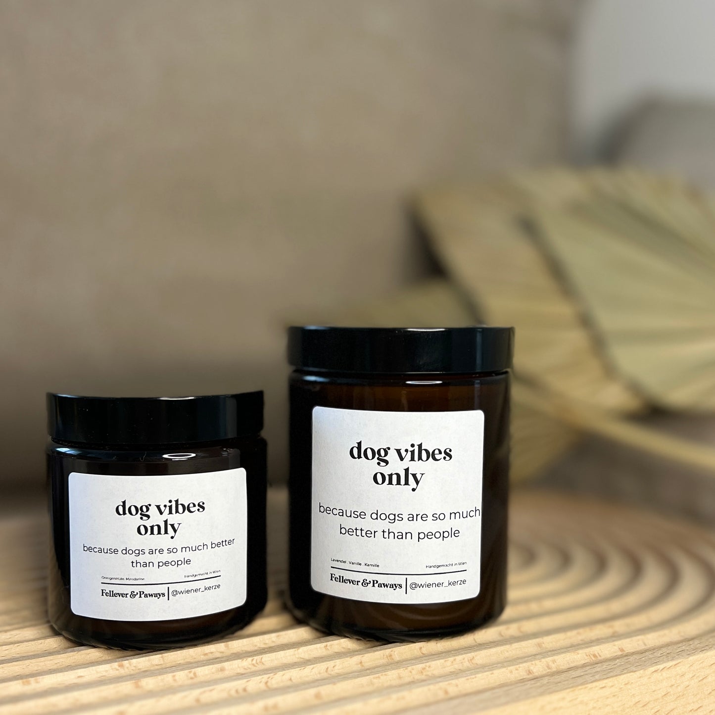 <tc>Candle "Dog vibes only"</tc>