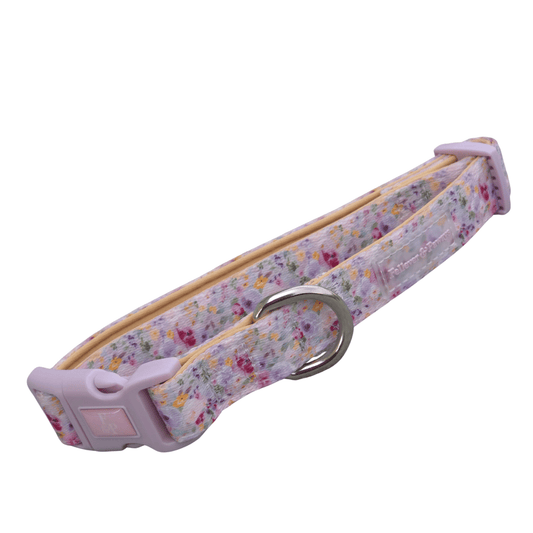 Dog collar "I woof Denim"