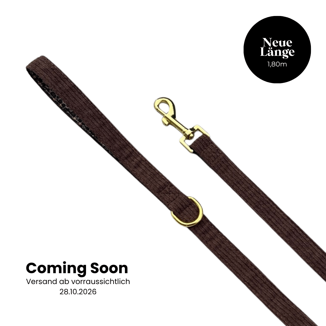 Hundeleine "Chocolate Leo"