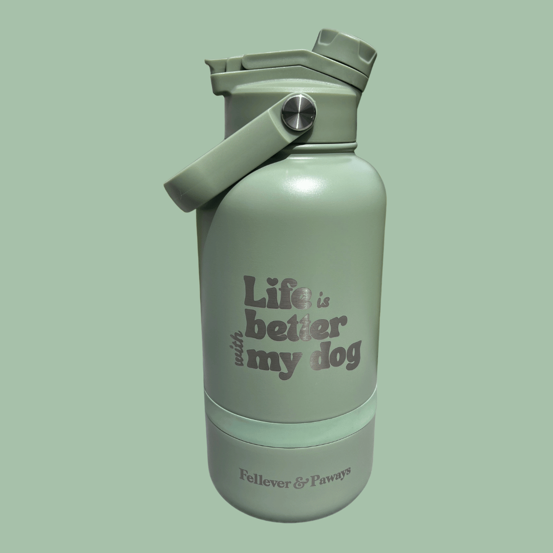 dog&me 2-in-1 Flasche MATCHA
