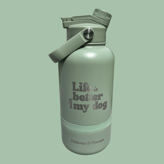 dog&me 2-in-1 Flasche MATCHA
