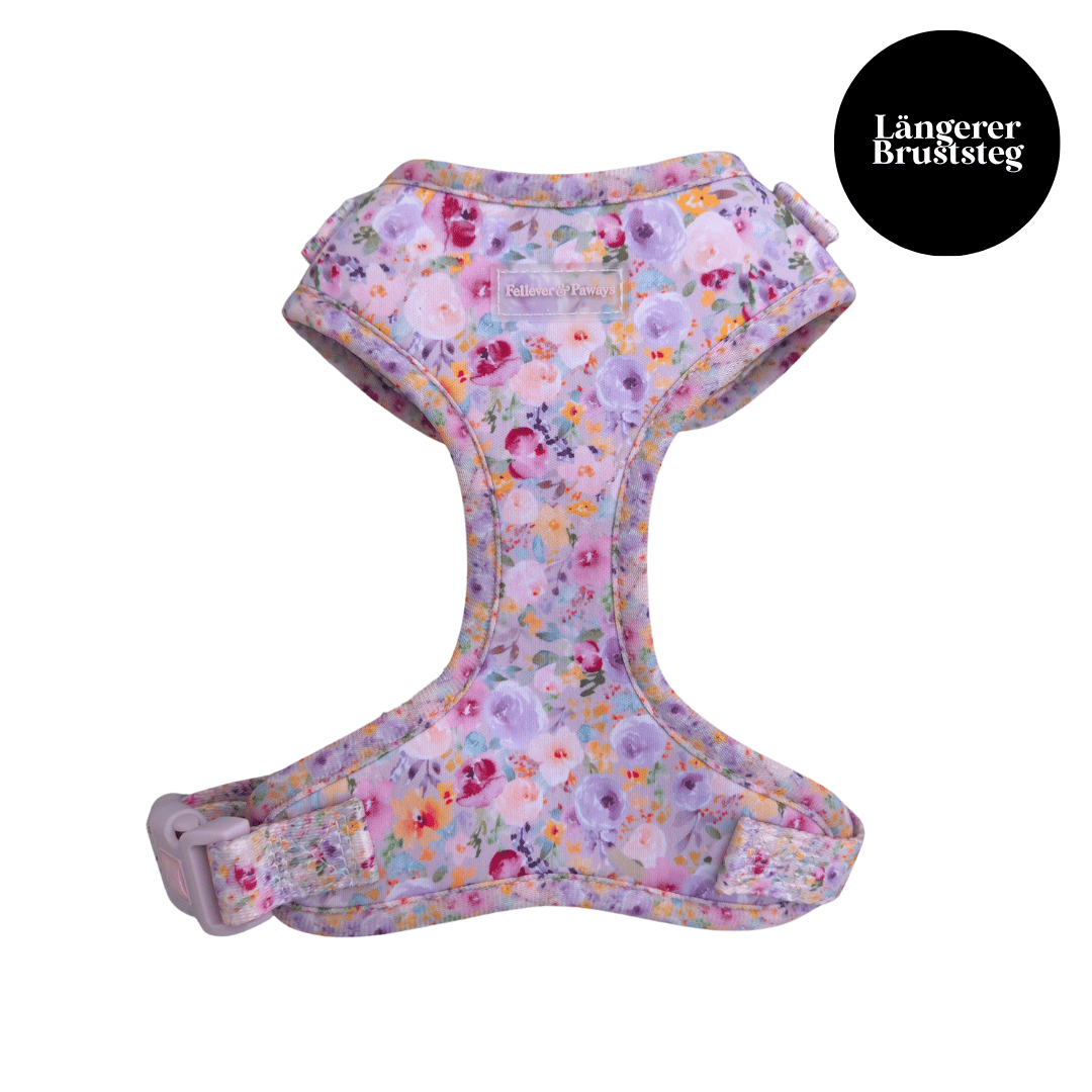 Hundegeschirr "Flower Dreams"